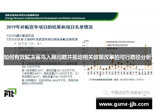 如何有效解决塞鸟入籍问题并推动相关政策改革的可行路径分析