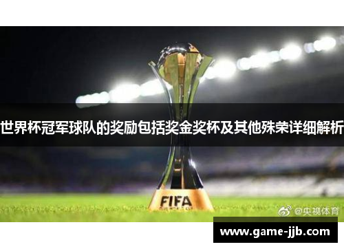 世界杯冠军球队的奖励包括奖金奖杯及其他殊荣详细解析